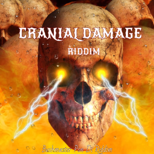Cranial Damage Riddim
