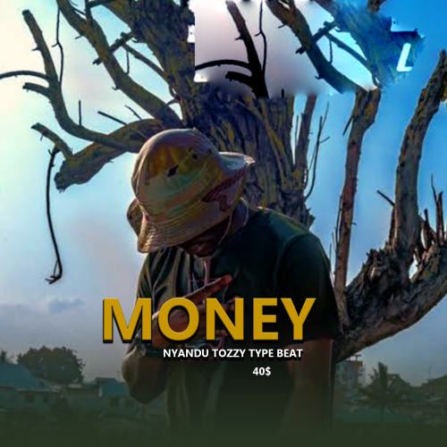 Money - Nyandu tozzy type beat