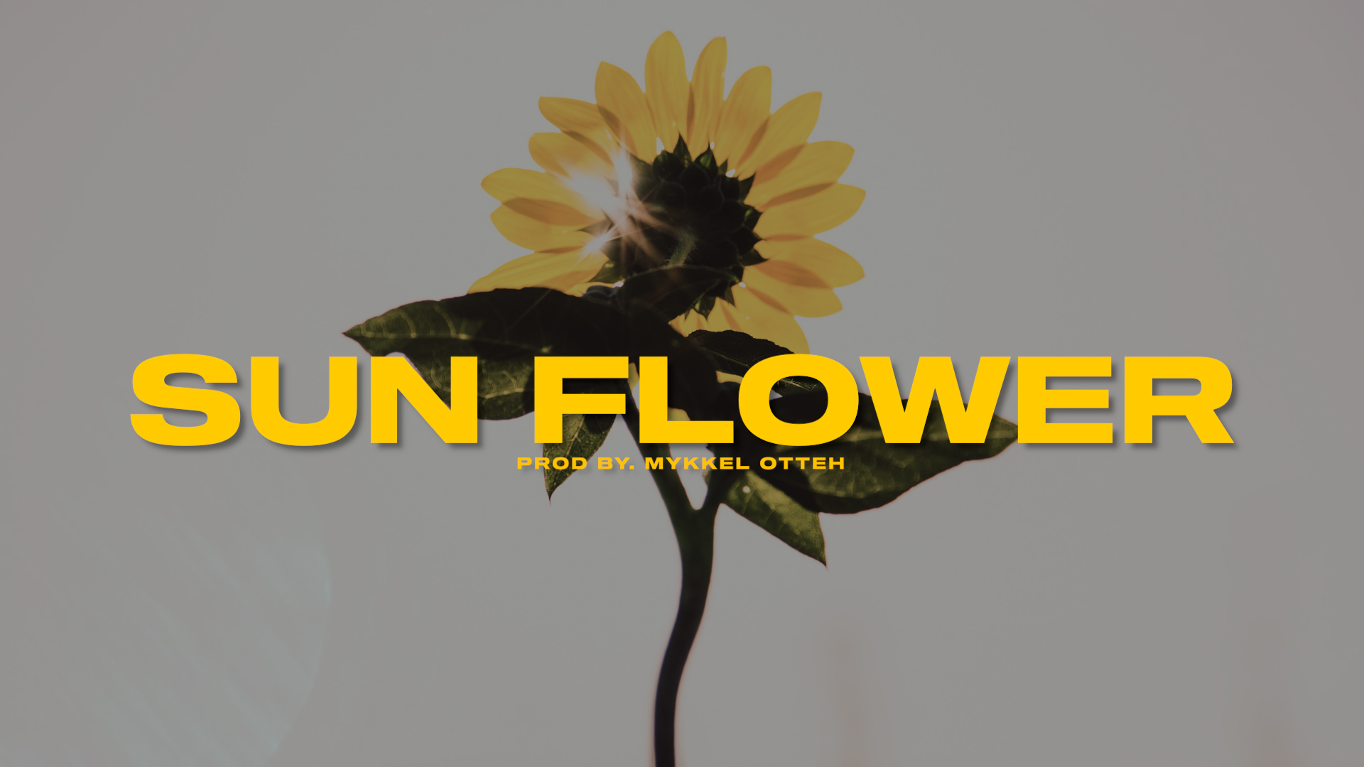 Sun Flower