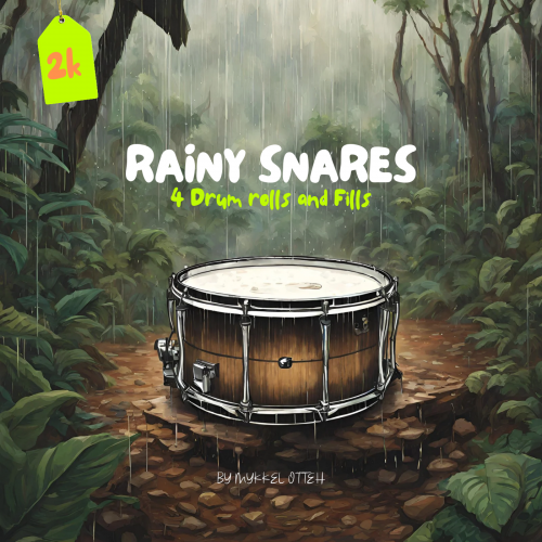 Rainy Snare (Drum roll and FIlls pack)