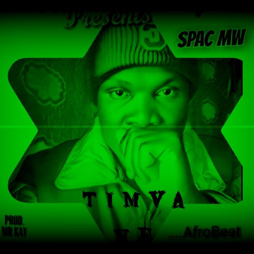 Timvane