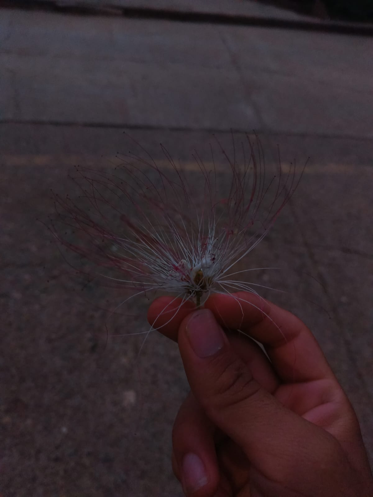 IN PEACE