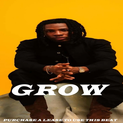 Joeboy x Buju (BNXN) Type Beat – 