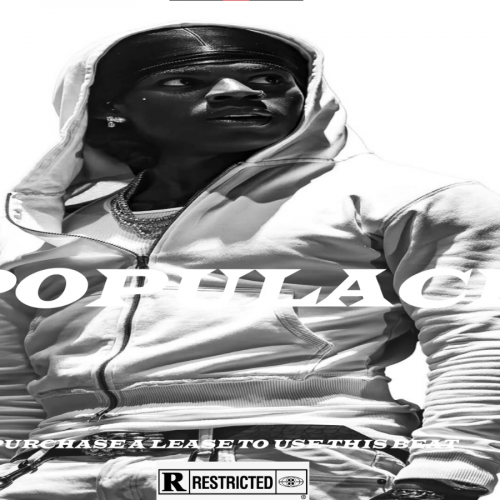 Rema x Shallipopi x Zerrydl Type Beat 2025 – 'POPULACE' | Hard Afropop / Afrobeat Instrumental
