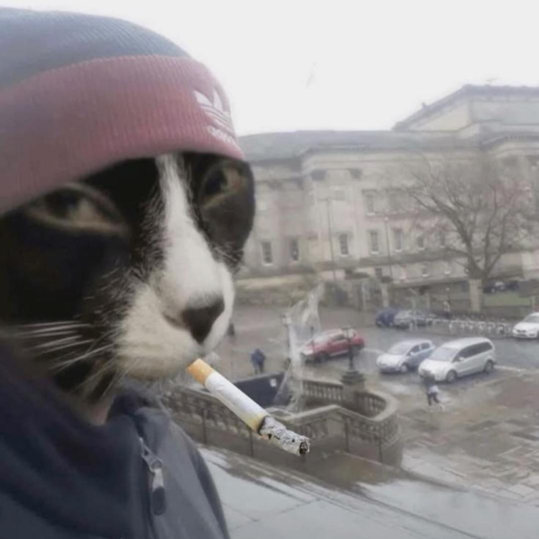 Light the Cigarette