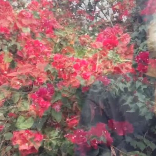 Chris Travis type beat ,,Eternity''