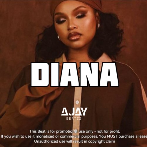 DIANA | Afrobeat RnB fusion Instrumental 
