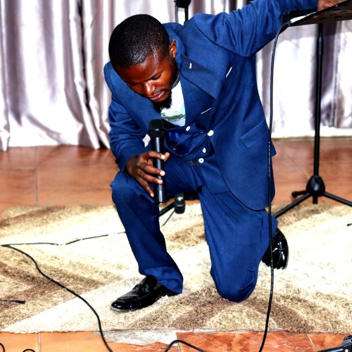 Ndemipela Amalumbo