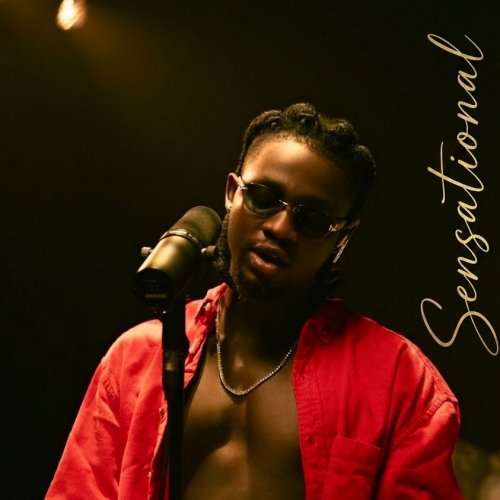 Sensational| Omah lay x Bnxn x Wizkid type beat 2026| Afrobeat