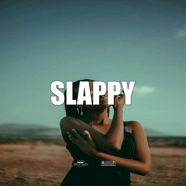Afrobeat Instrumental SLAPPY Ayra Starr x Fire Boy TypeBeat
