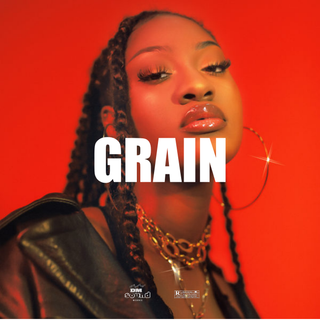 Afrobeat Instrumental GRAIN X Burna Boy x FireBoy Type Beat