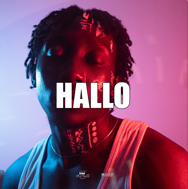 Afrobeat Instrumental HALLO X FireBoy x Ayra Starr TypeBeat