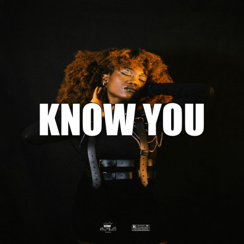 AfroBeat Instrumental KNOWYOU  Burna Boy x Ayra Starr TypeBeat