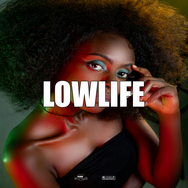 Afrobeat Instrumental LOWLIFE JoeBoy x Rema x Ruger TypeBeat.