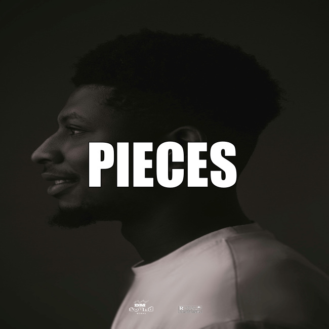 Afrobeat Instrumental 2026 PIECES Arya Starr x Burna Boy TypeBeat