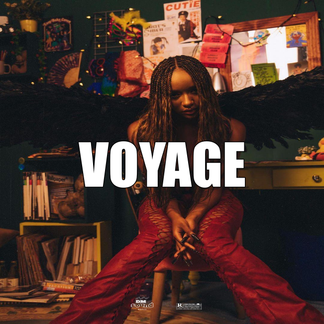 Afrobeat Instrumental VOYAGE X FireBoy x Ayra Starr Type Beat
