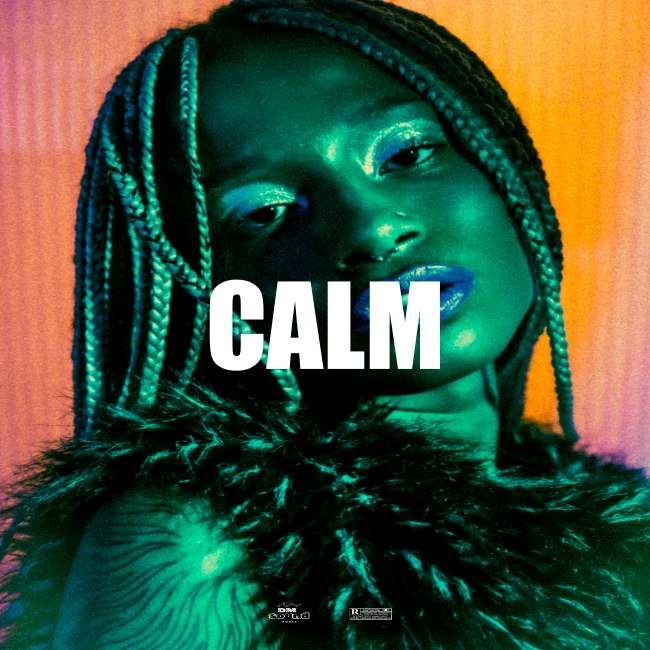 Afrobeat Instrumental CALM X Ayra Starr x FireBoy TypeBeat