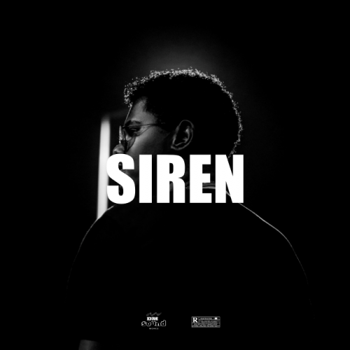 Afrobeat Instrumental SIREN Afrobeat Type Beat